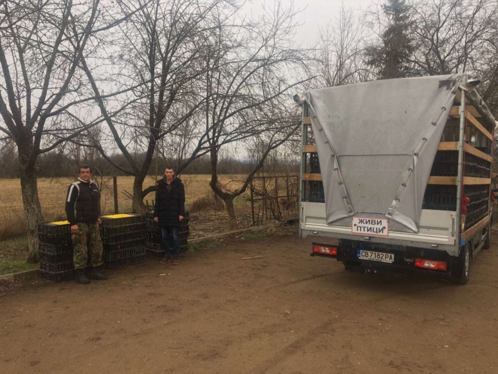 пролетното разселване