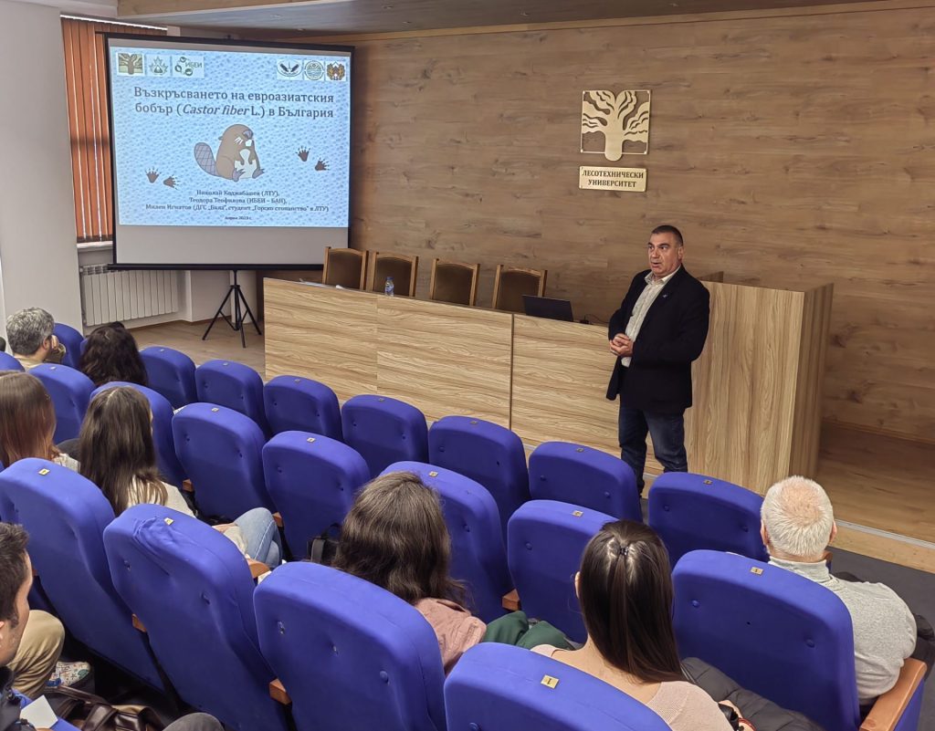 евроазиаткият бобър