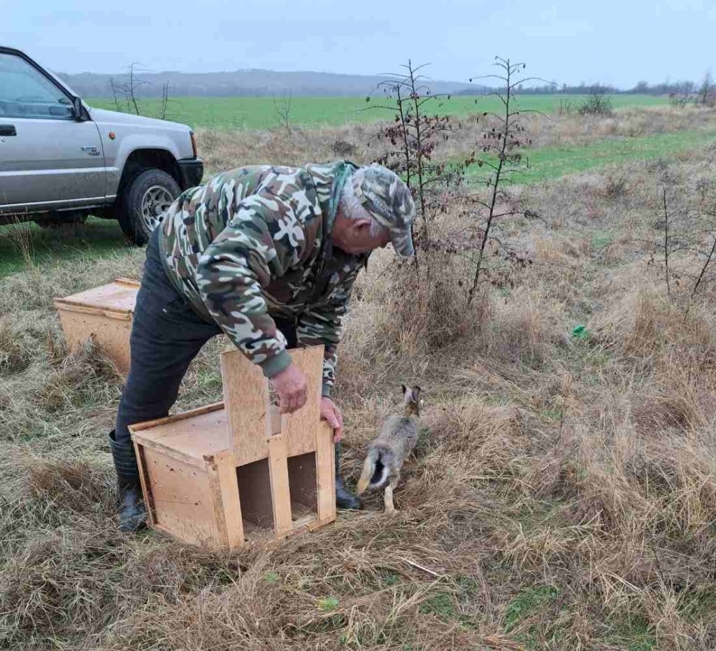 първомай лов