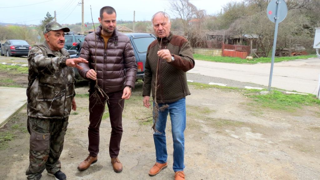 вечеринка добрич
