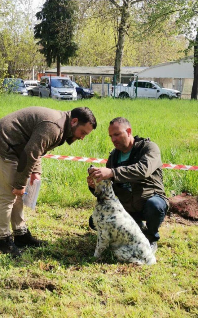 изложба сетери