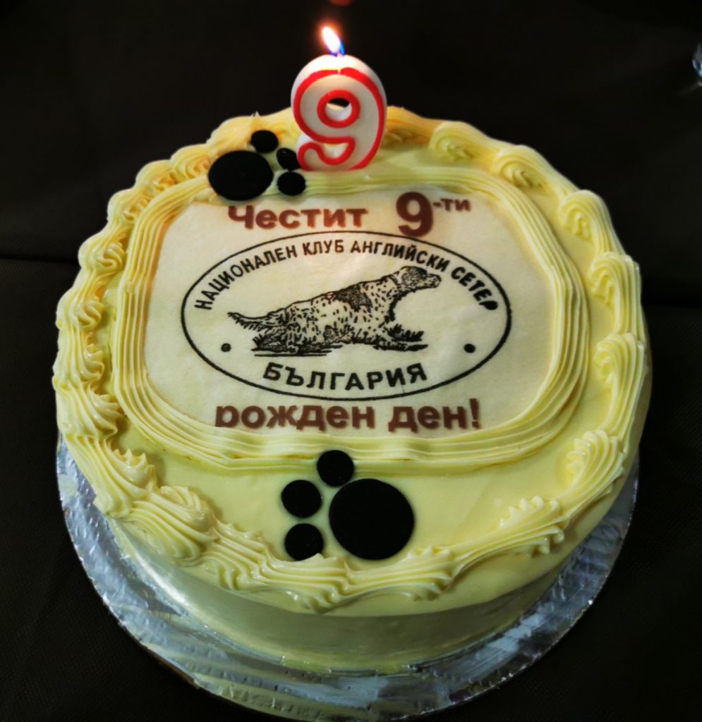 изложба сетери