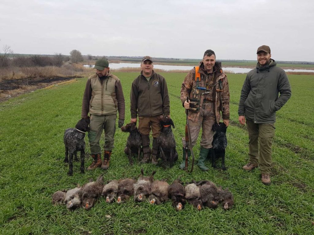 нова загора дивеч