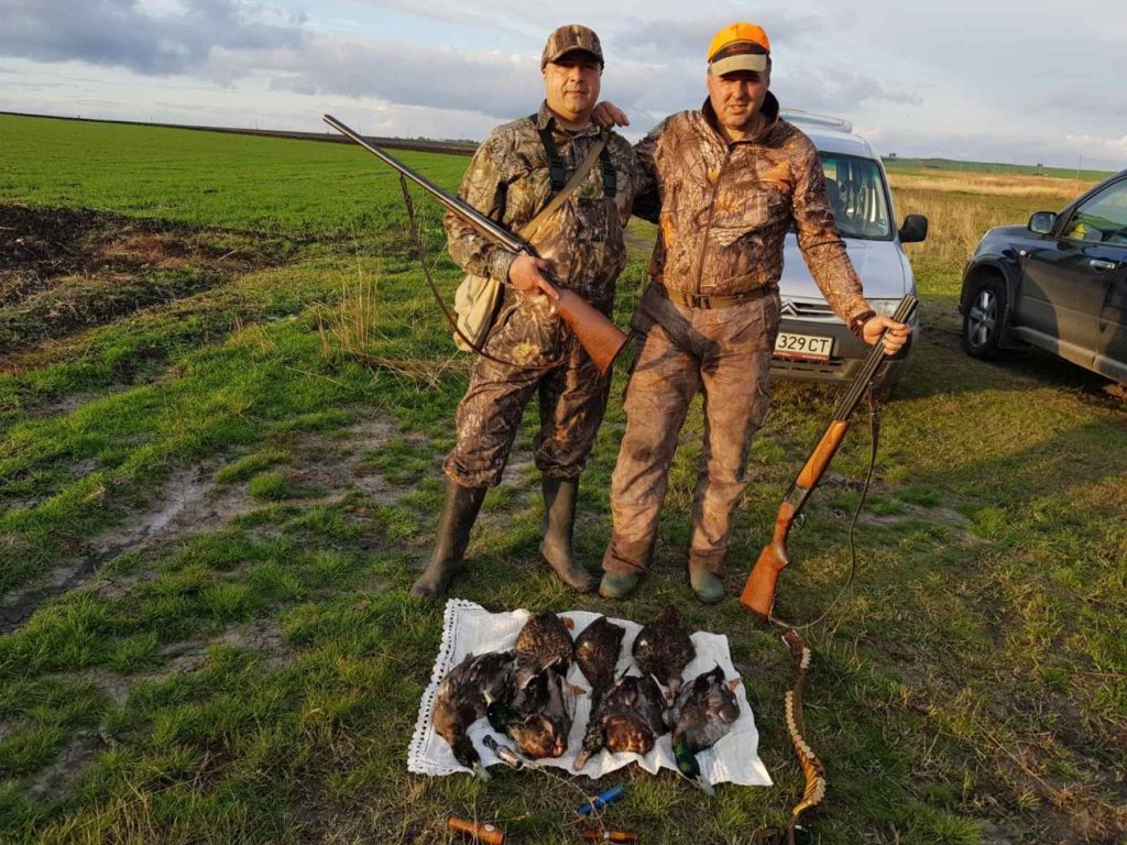 нова загора дивеч