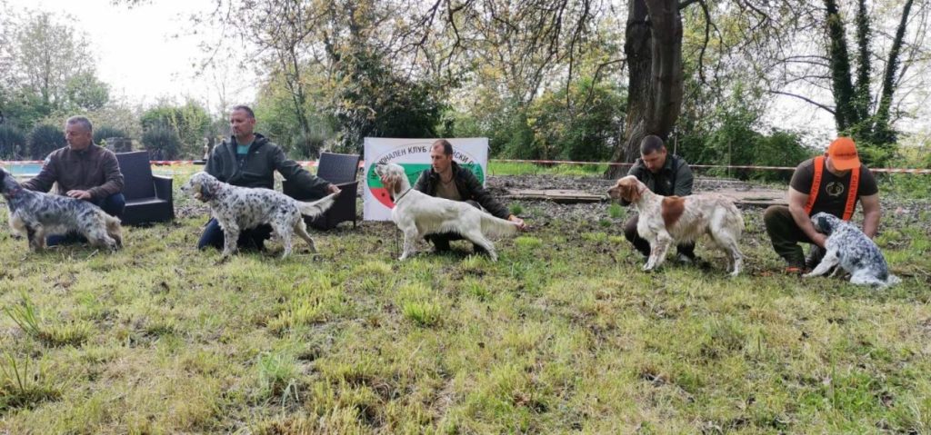 изложба сетери