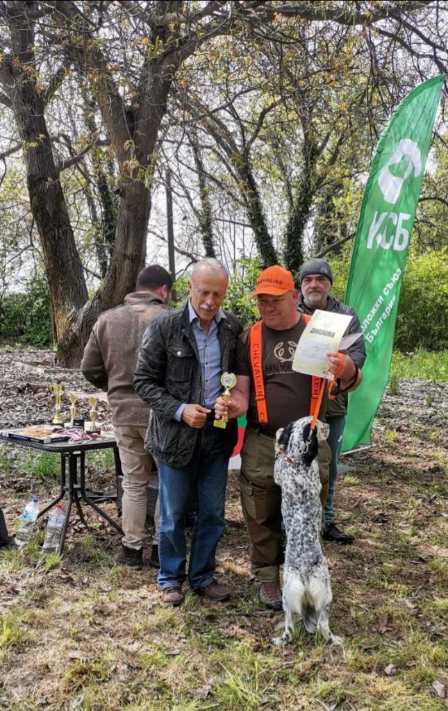 изложба сетери