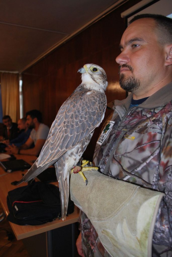 проект сокол ямбол