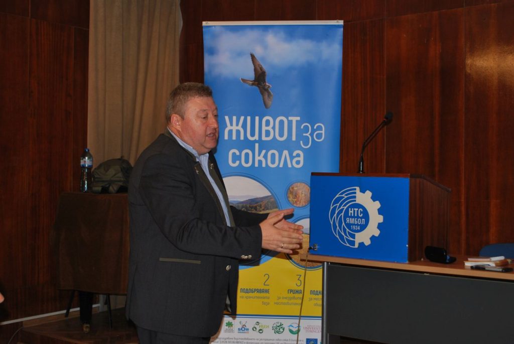 проект сокол ямбол