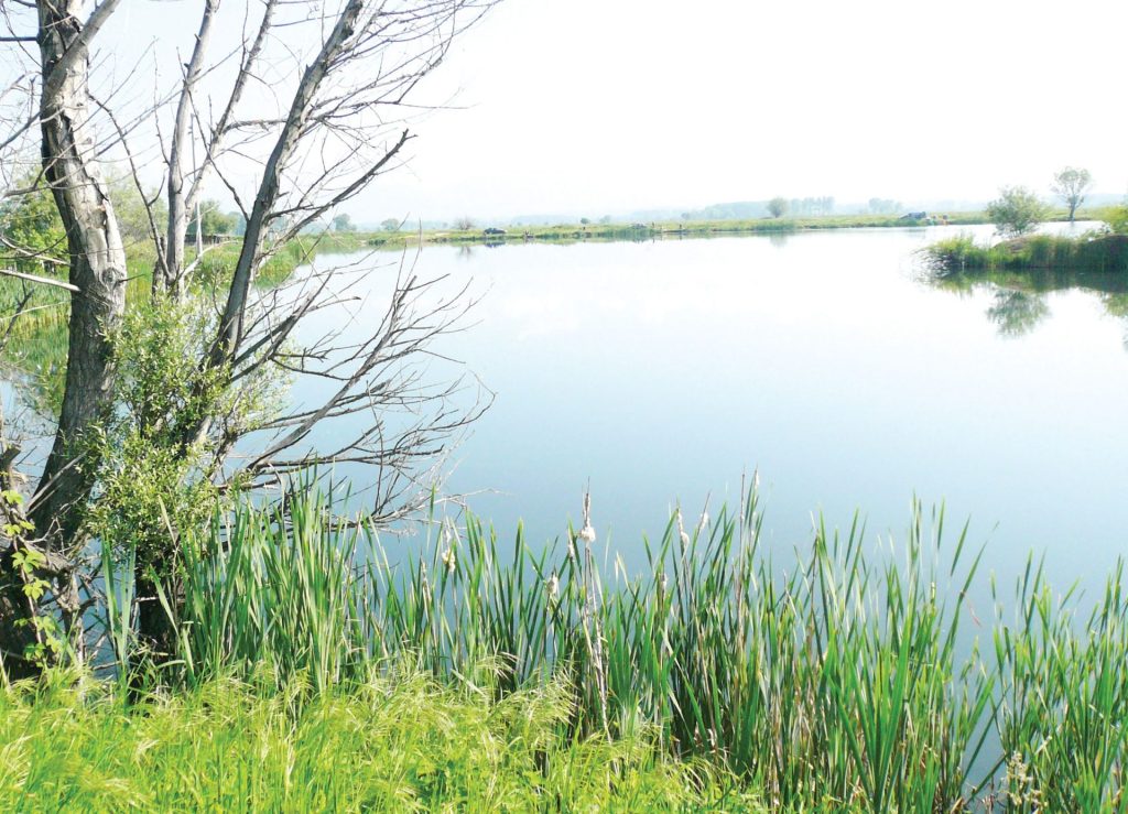 баластриерите