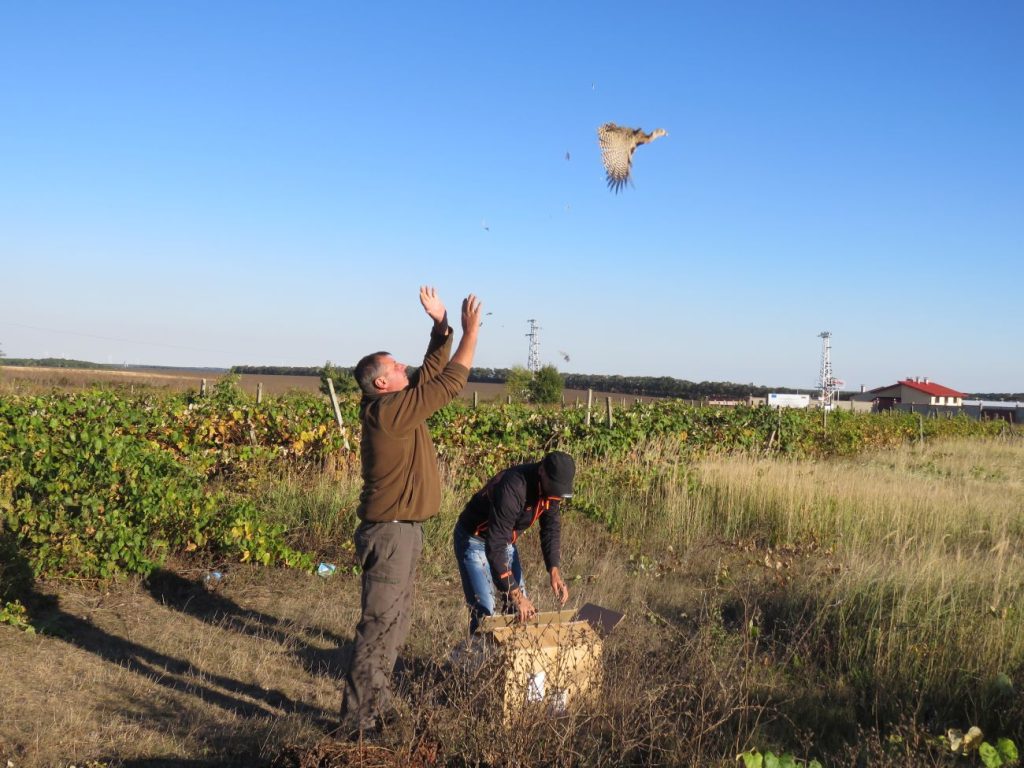 събрание добрич