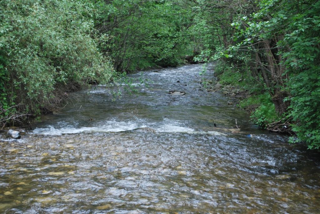 слрб зарибяване