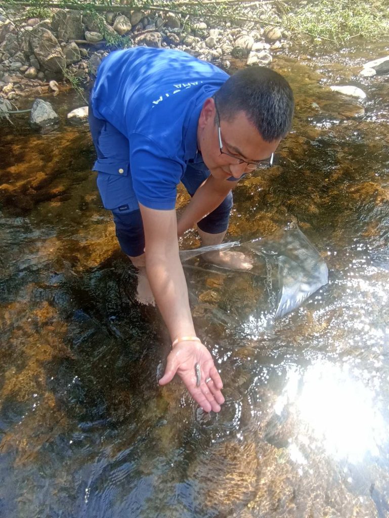 деца зарибяване огоста