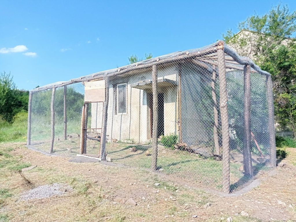 гостилица волиер