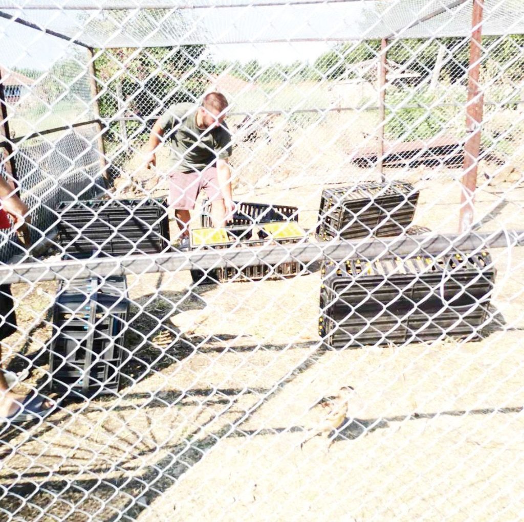 бяла разселване