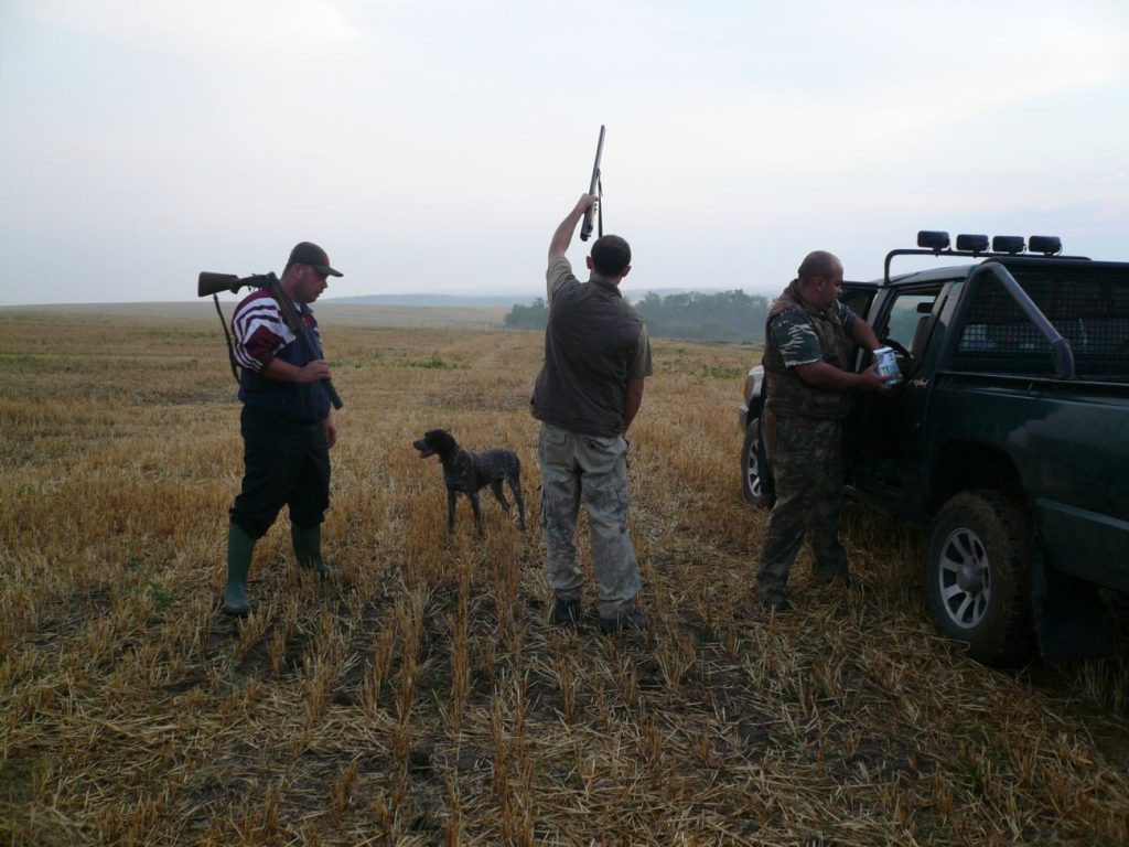 пъдпъдъците севетоизток