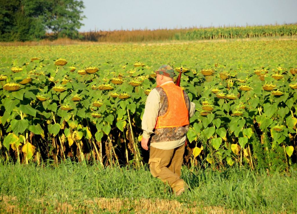 лясково лов