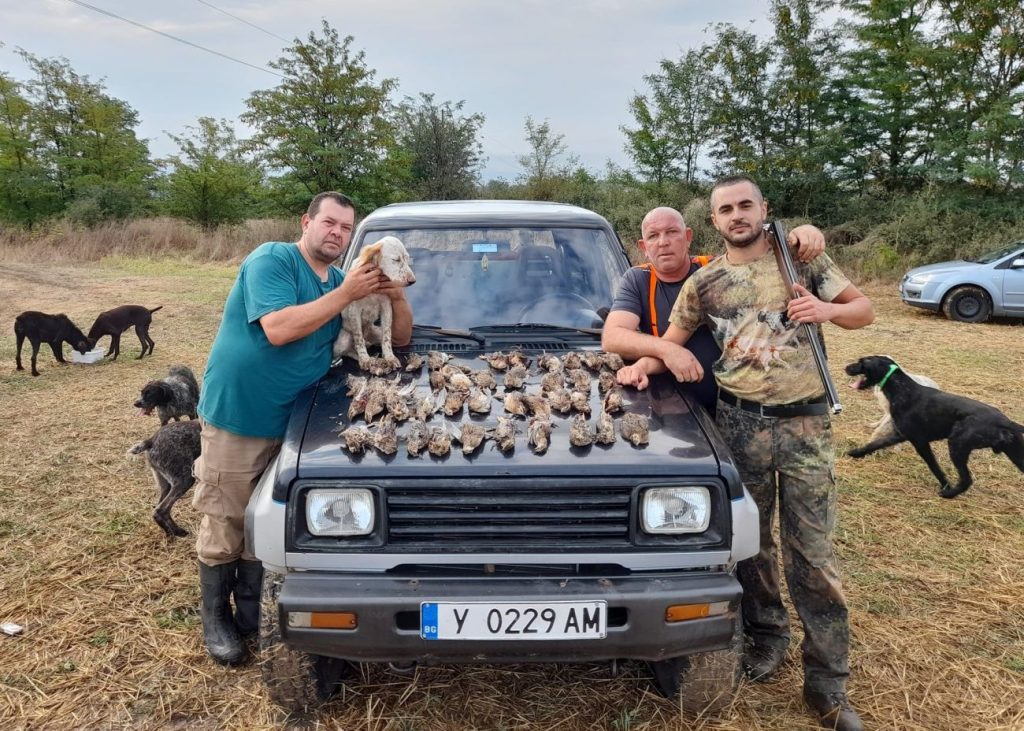 маломирово лов