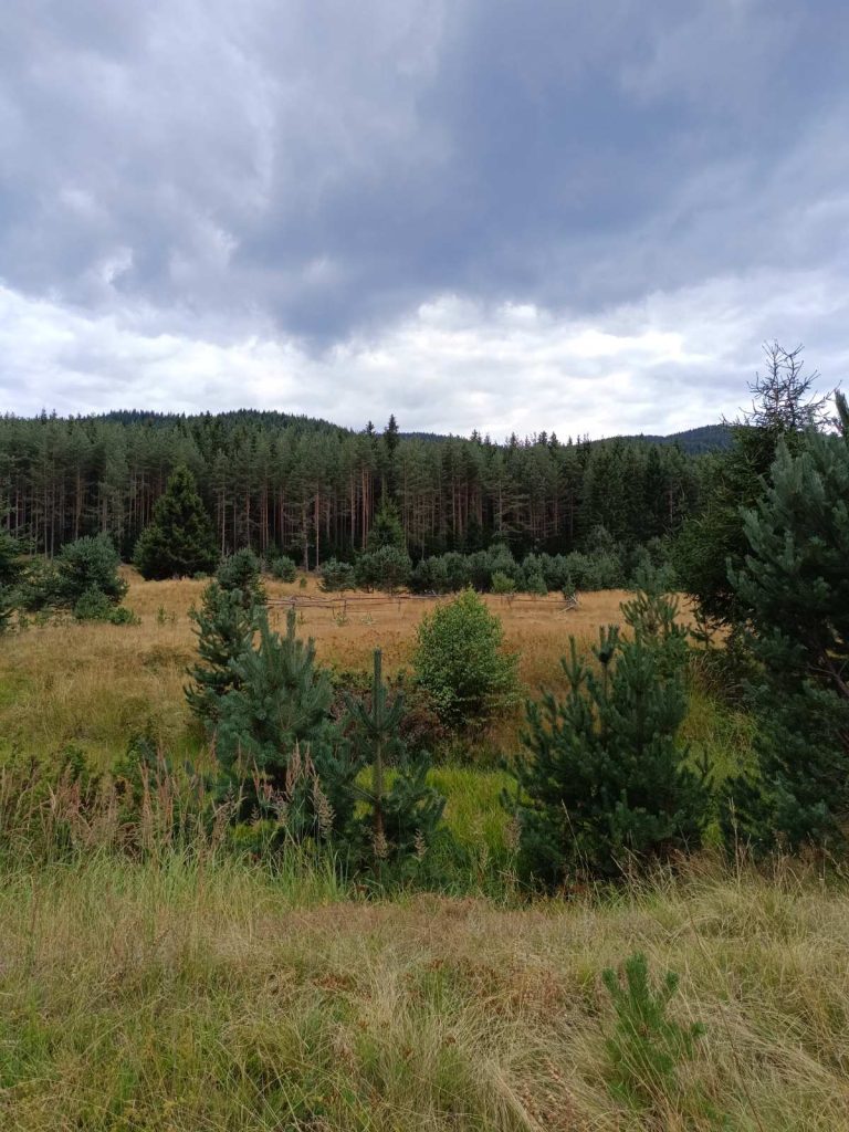 Медени поляни-Побит камък