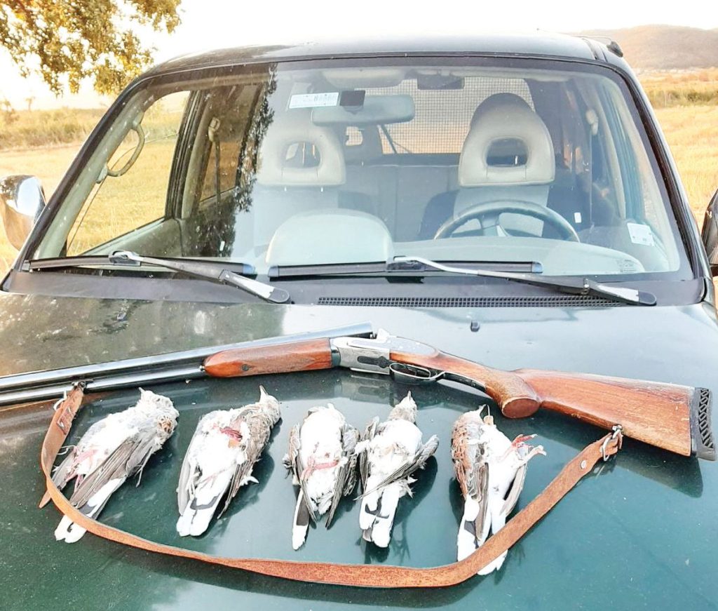 поморие лов