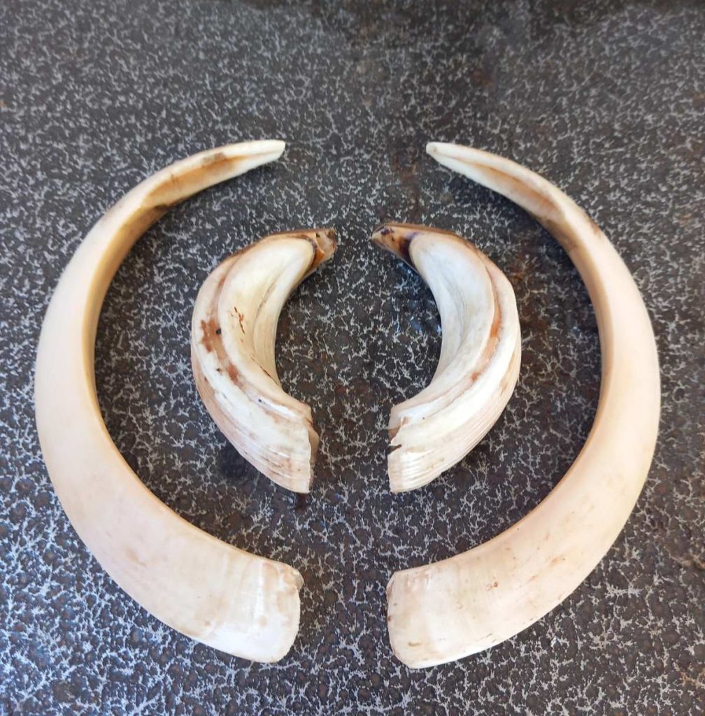 златан медал за валери калеканов