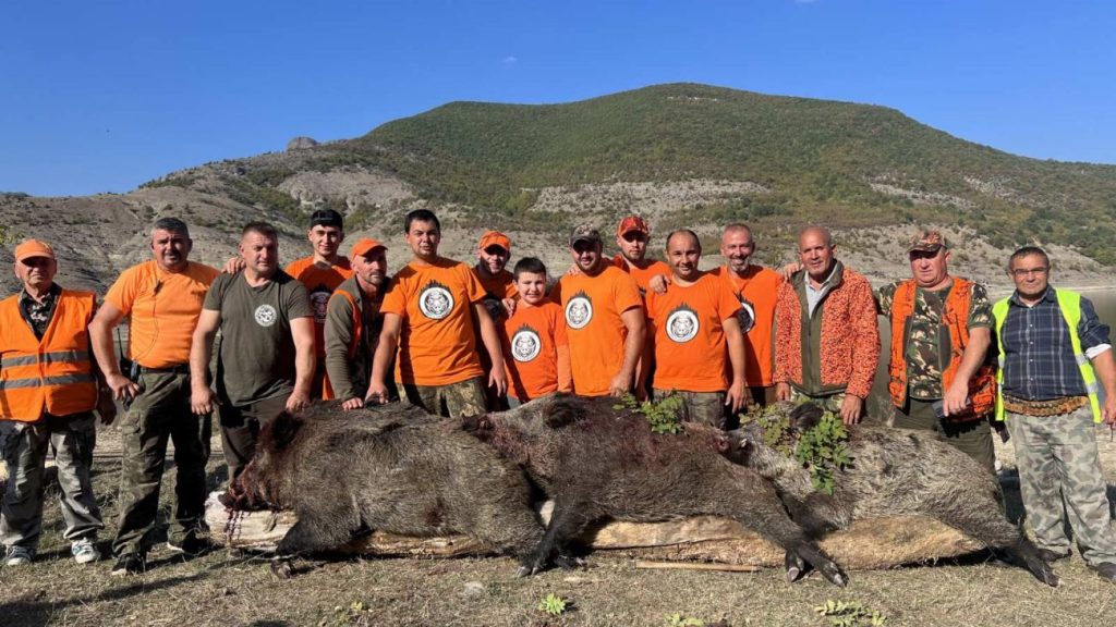 боровица лов