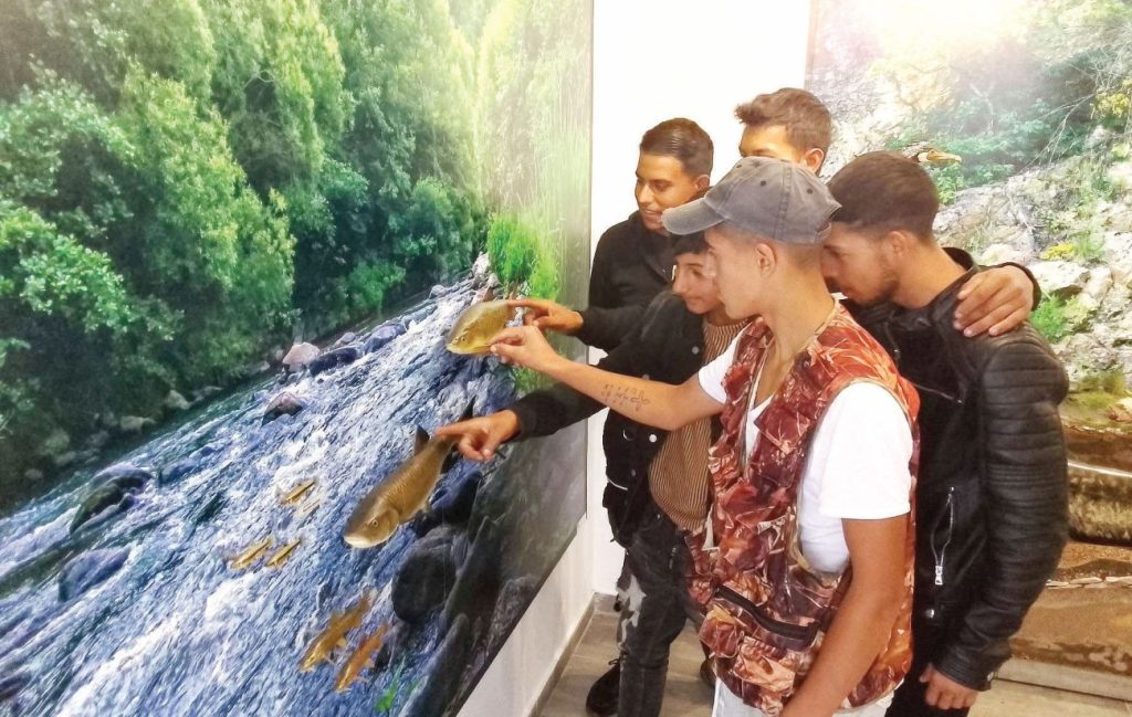 девин риболовни принадлежности