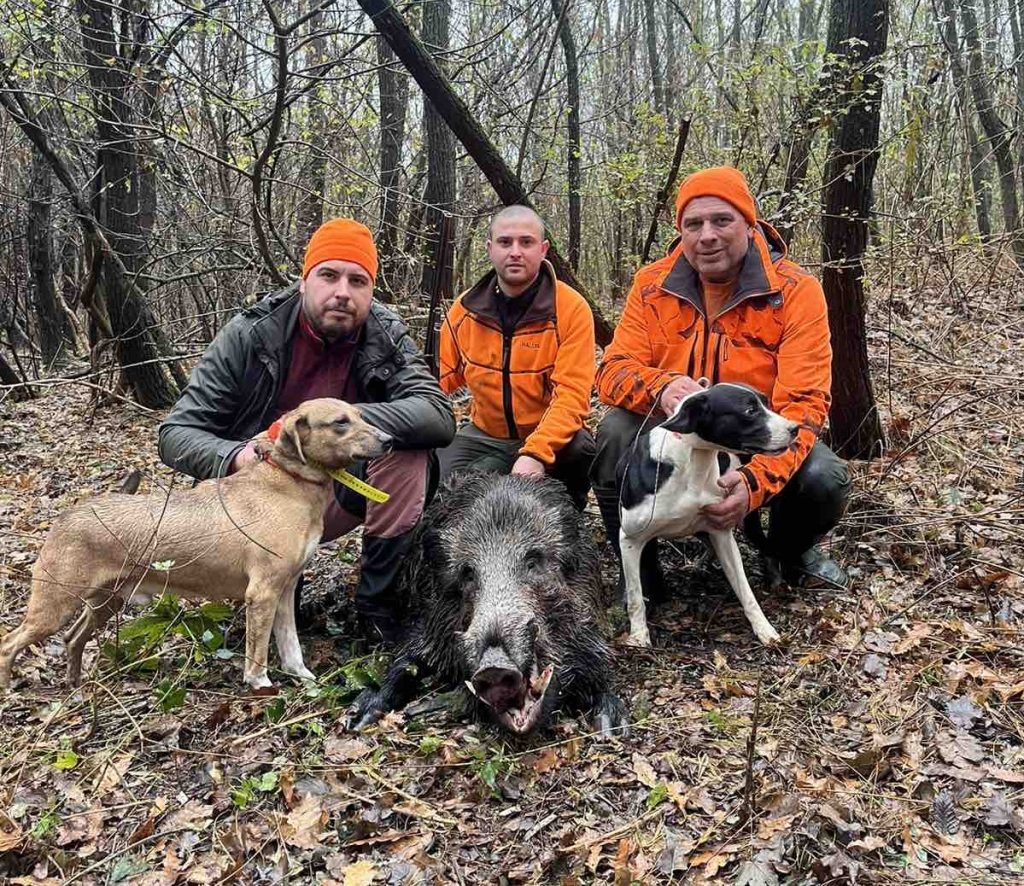 ковачевец лов