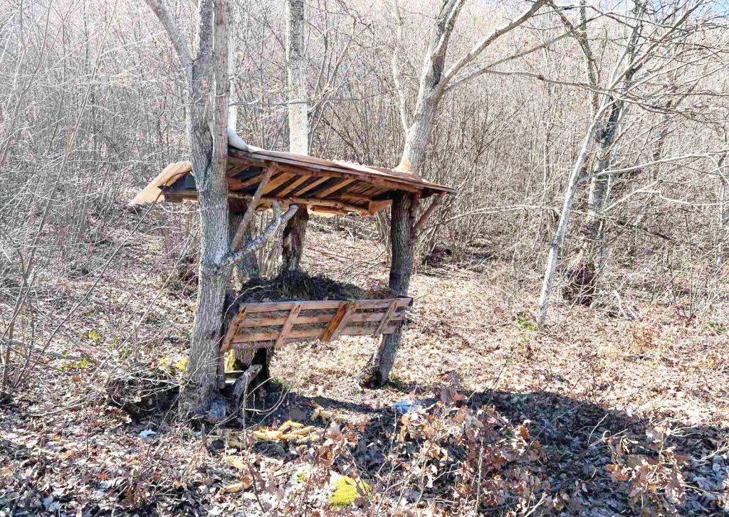 хаджидимово дивеч