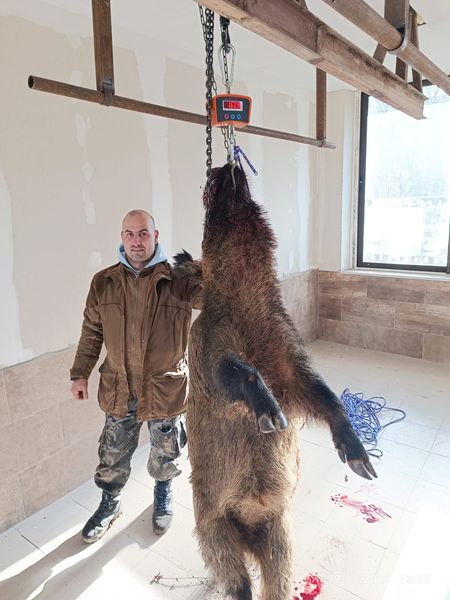 въглевци лов