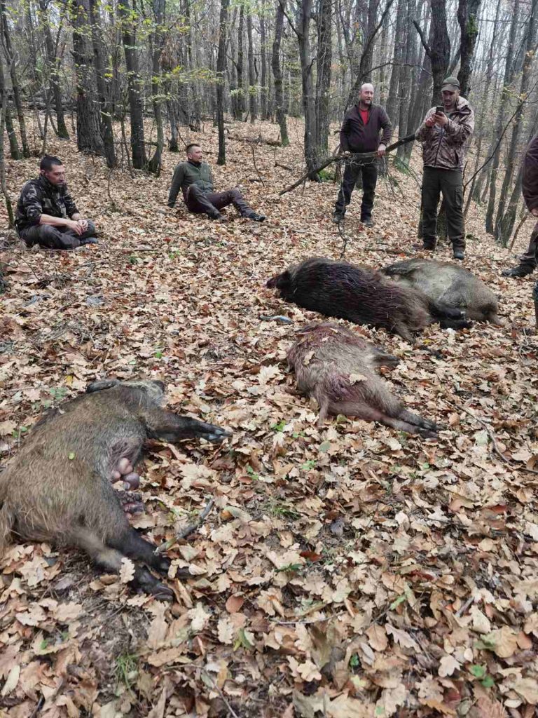 войнежа лов