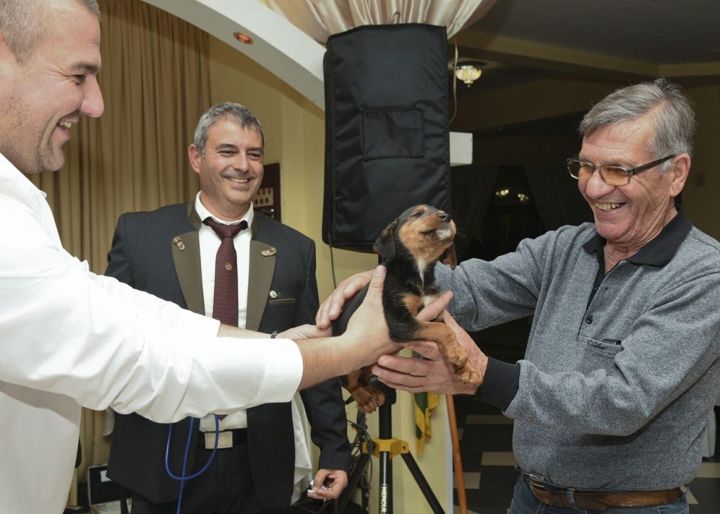 вечеринка хасково