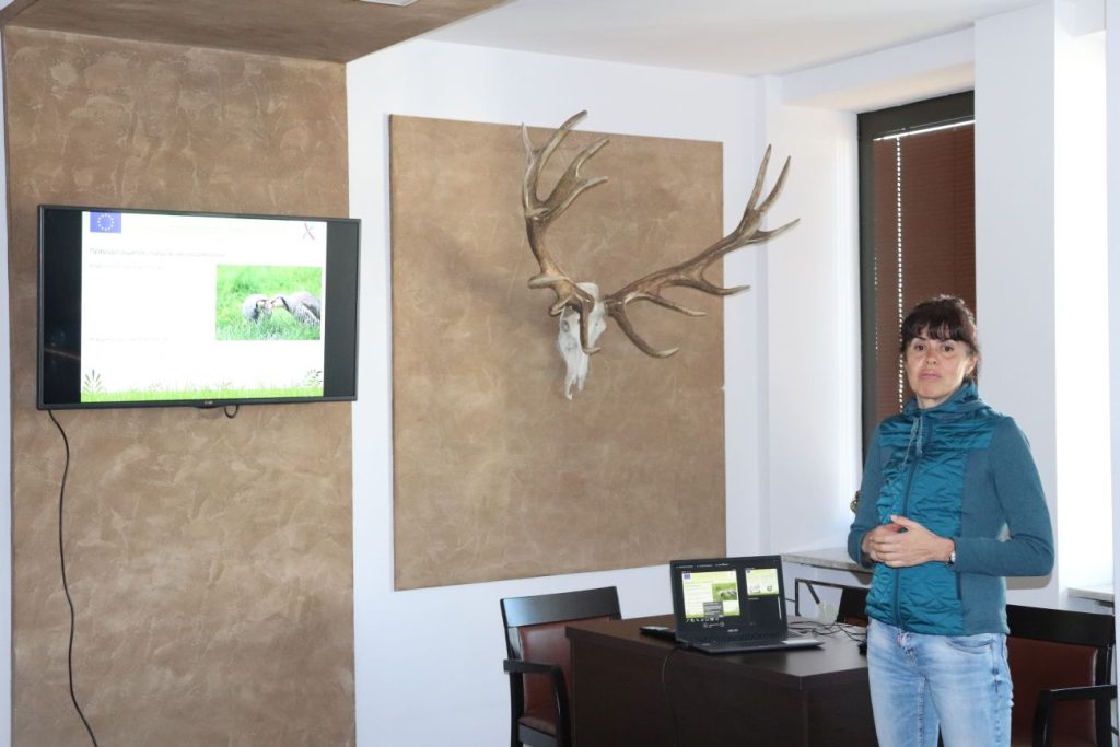 проект кеклик