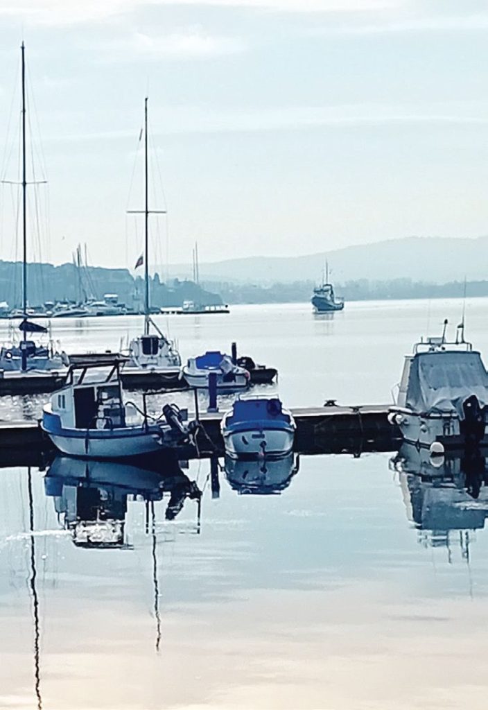 проверки иара