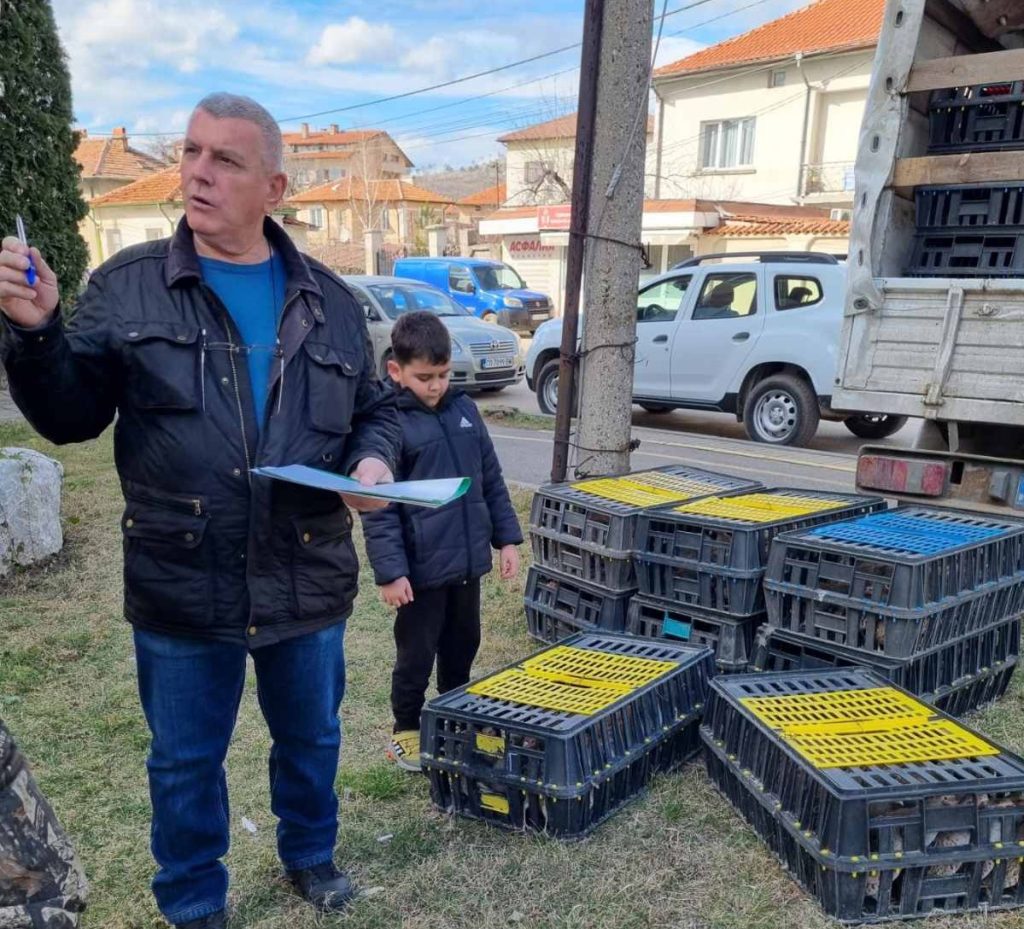 сливница яребици