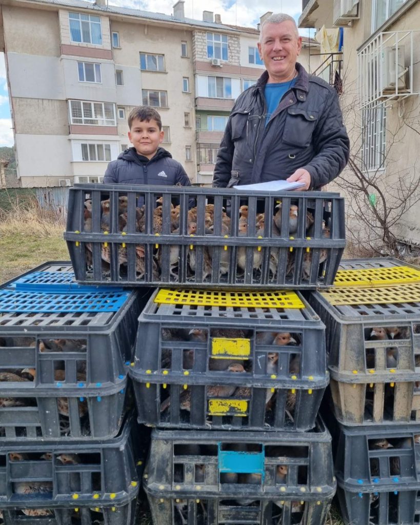 сливница яребици