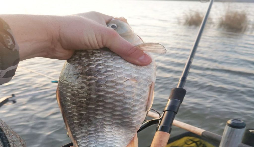 язовир мандра каракуди