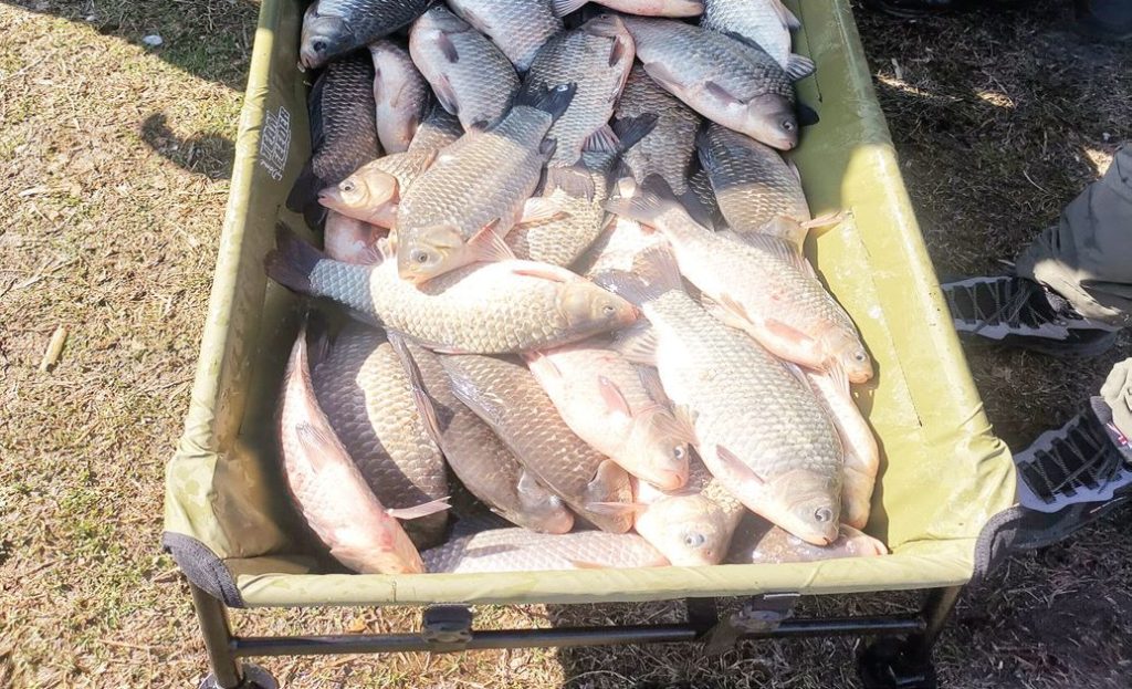 язовир мандра каракуди