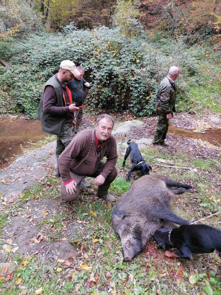 вечеринка габрово