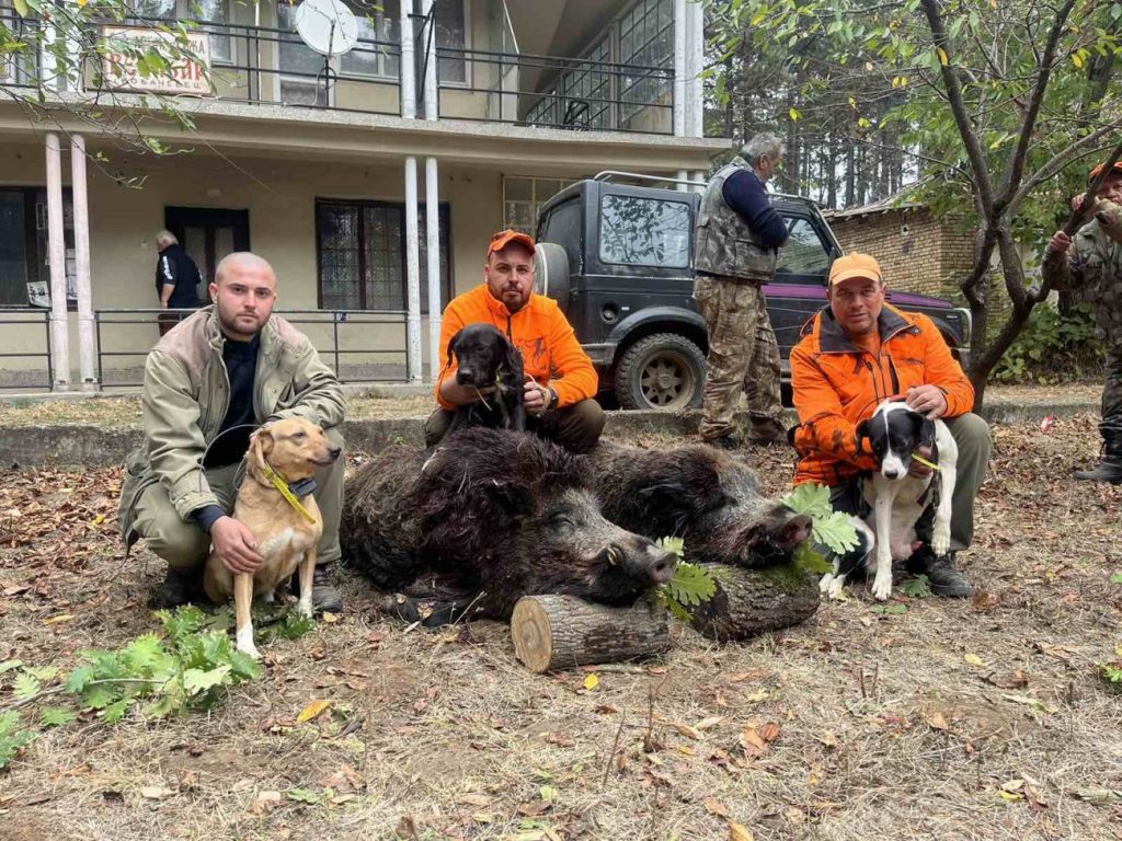 голямо ново лов