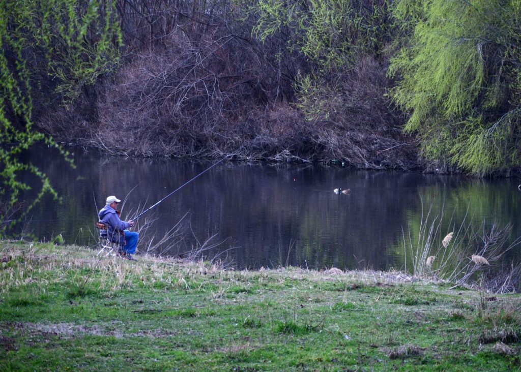 фотоконкурса на НЛРС-СЛРБ „Мигове от дивия свят”