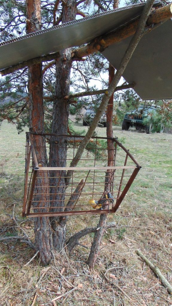 огоя чакало