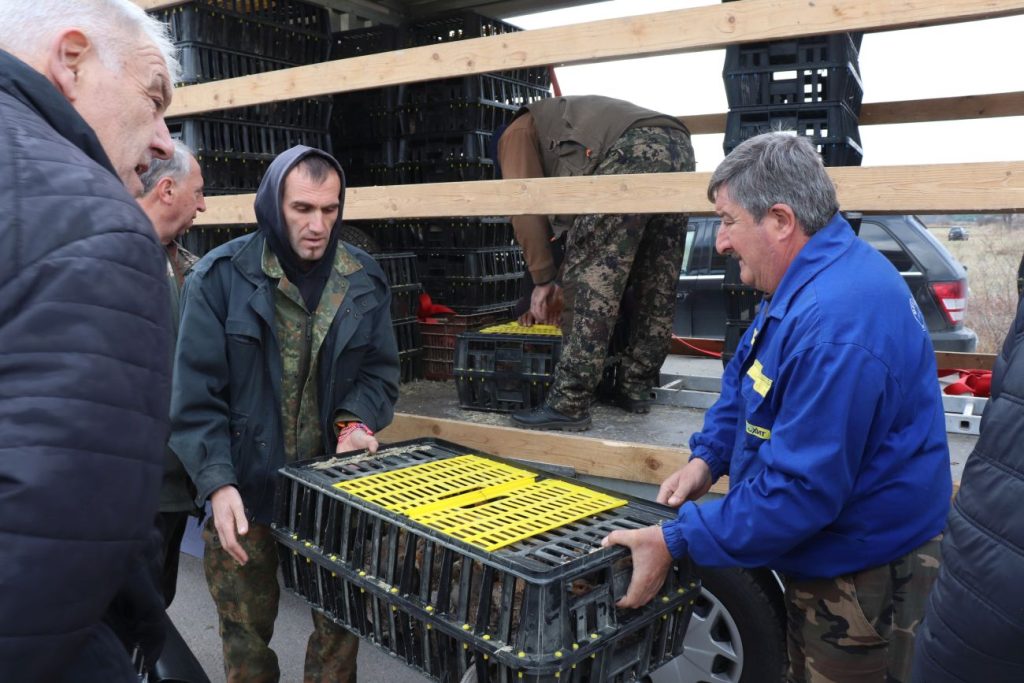 разселване трън