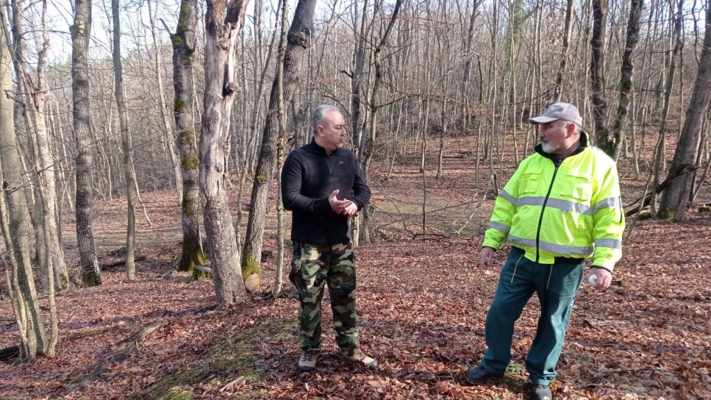 габровско мечките