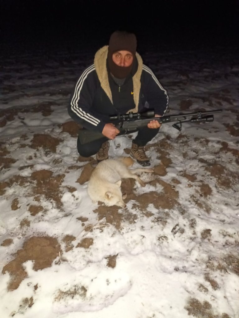 таксация полски тръмбеш