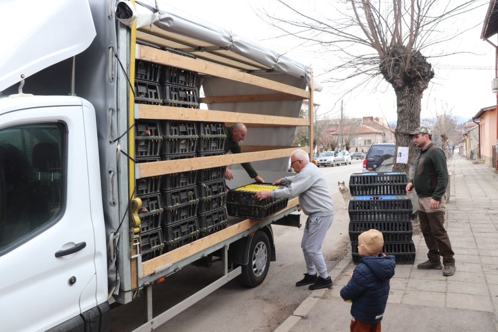 разселване