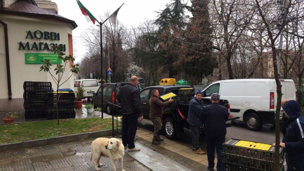 разселване