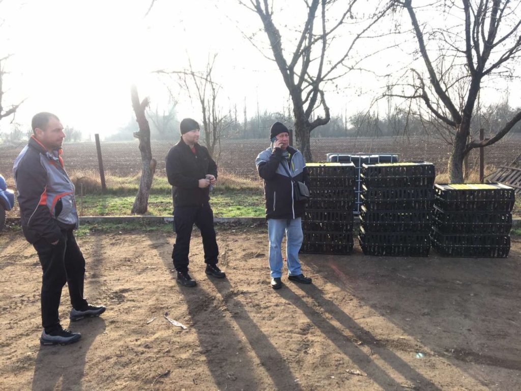 разселване