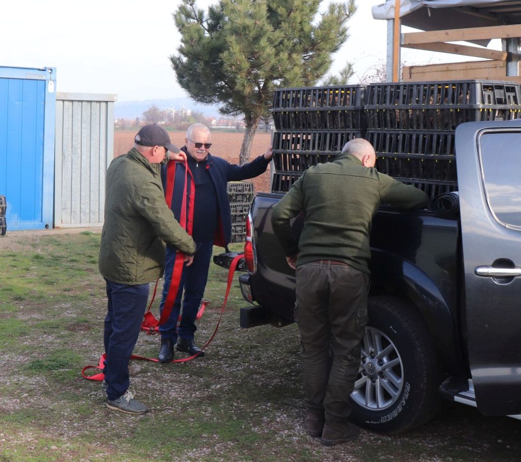 разселване