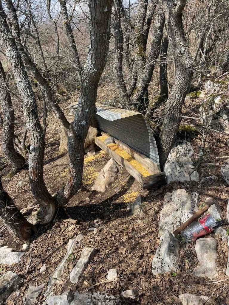 понор дружина