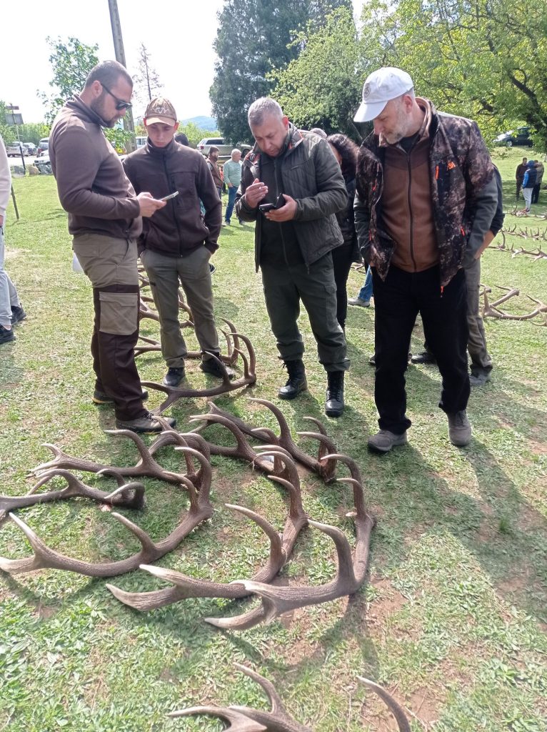 паднали рога габрово